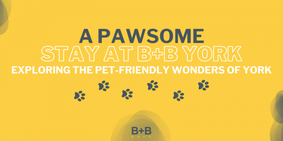 A Pawsome Stay at B+B York