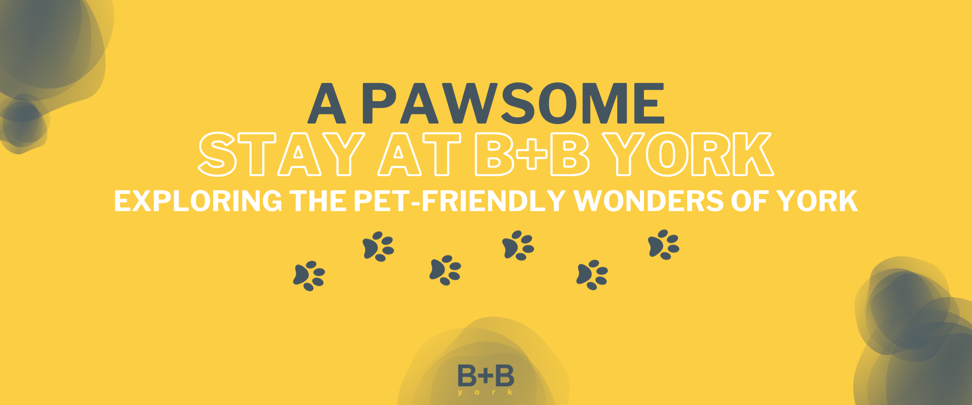 A Pawsome Stay at B+B York